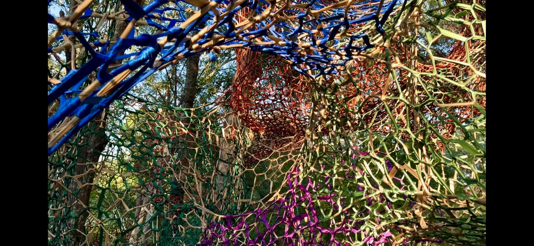 Inside a multicolor forest tunnel net looking through layers into a color vortex