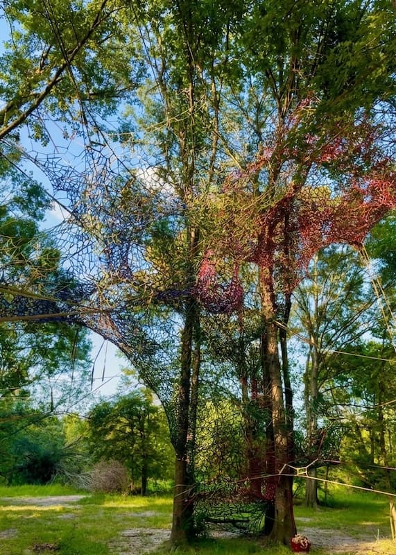 Red hand-woven net installation stretched through a large tree in a park