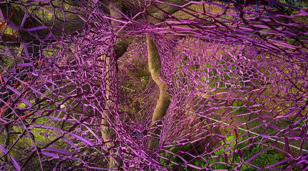 Magenta and purple net wrapping tree branches in a green forest